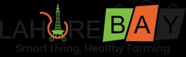 LahoreBay Manufacturing Division
